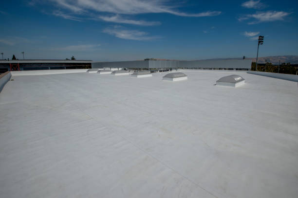 Best Roof Insulation Installation  in Canton, GA