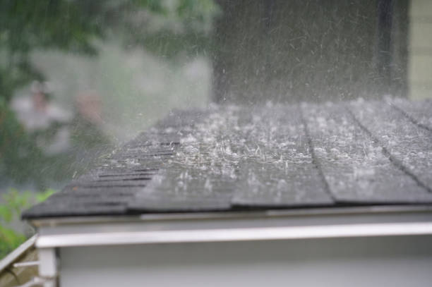 Best Roof Insulation Installation  in Canton, GA